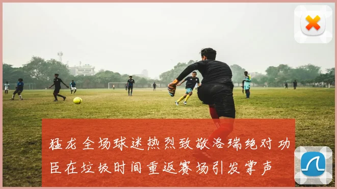 猛龙全场球迷热烈致敬洛瑞绝对功臣在垃圾时间重返赛场引发掌声